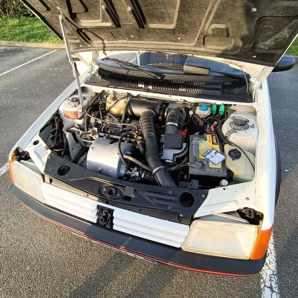 Peugeot 205 1.6 GTi, foto 7
