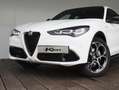 Alfa Romeo Stelvio 2.0 T GME AWD Veloce | 2300kg Wegklapbare Trekhaak Wit - thumbnail 13
