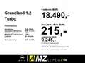 Opel Grandland 1.2 Turbo *Bequemer Einstieg* Wit - thumbnail 3