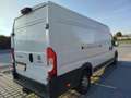 Fiat Ducato Ducato Maxi L2 Weiß - thumbnail 11