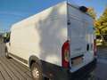 Fiat Ducato Ducato Maxi L2 Weiß - thumbnail 6