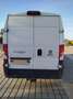 Fiat Ducato Ducato Maxi L2 Weiß - thumbnail 5