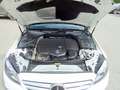 Mercedes-Benz C 220 d T 4MATIC Aut. Blanc - thumbnail 25