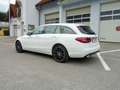 Mercedes-Benz C 220 d T 4MATIC Aut. Blanc - thumbnail 6