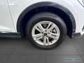 Audi Q3 Sportb TFSI e S-tro. +Navi+Shz+virtual+PDC Weiß - thumbnail 4