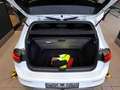Volkswagen Golf VIII 1,5TSI ACTIVE AHK NAV KAM LED ACC SHZ Weiß - thumbnail 9