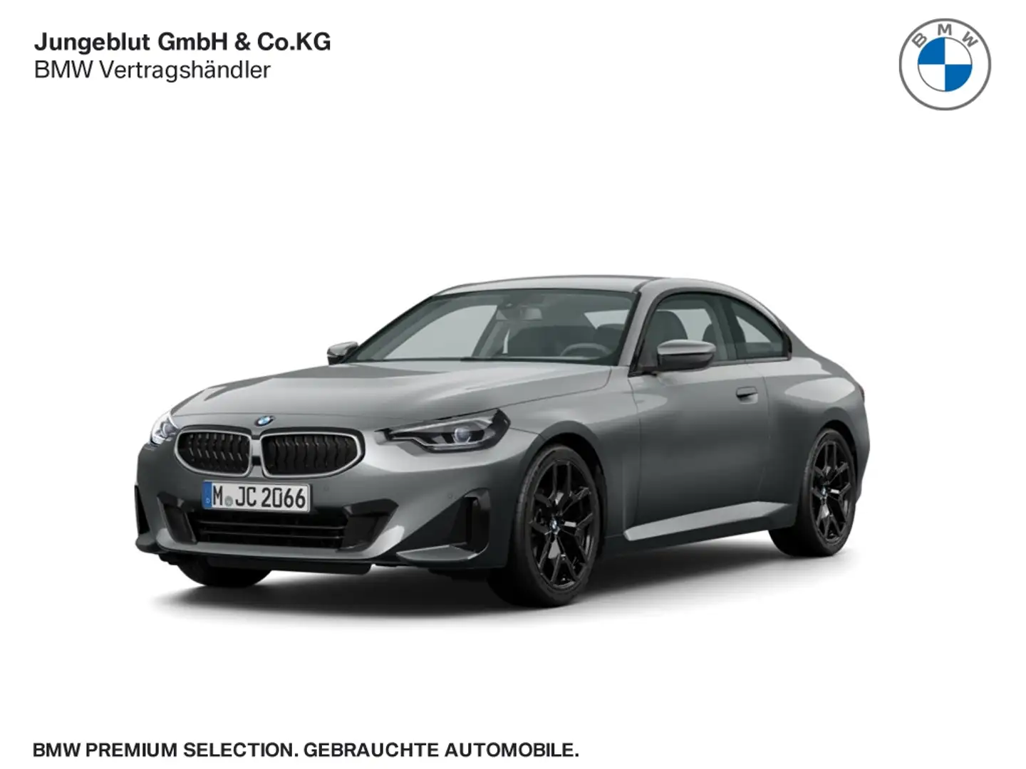BMW 218 i Coupe M Sport Pro Sitzhg./LiveCockpit+/Parkassis Grau - 1