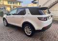 Land Rover Discovery Sport Discovery Sport 2.0 td4 Bianco - thumbnail 12