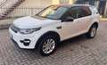 Land Rover Discovery Sport Discovery Sport 2.0 td4 Bianco - thumbnail 13