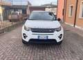 Land Rover Discovery Sport Discovery Sport 2.0 td4 Bianco - thumbnail 6