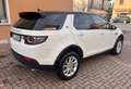 Land Rover Discovery Sport Discovery Sport 2.0 td4 Bianco - thumbnail 11