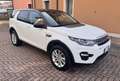 Land Rover Discovery Sport Discovery Sport 2.0 td4 Bianco - thumbnail 10