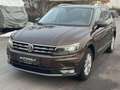 Volkswagen Tiguan Comfortline BMT 4Motion ALLRAD DSG AUTOMATIK *AHK Braun - thumbnail 6
