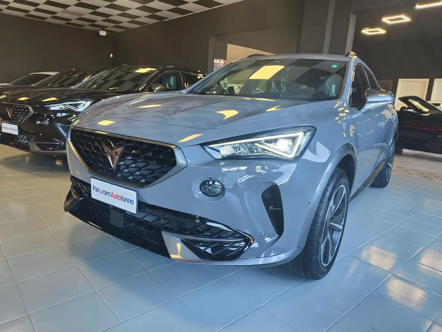 CUPRA Formentor 2.0 TDI 4Drive DSG Šedá - 2