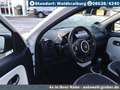 Renault Twingo Klimaautomatik+Tempomat+Alu+Faltdach Blanc - thumbnail 11