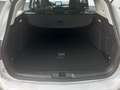 Ford Focus 1,5 EcoBlue 88kW Titanium Turnier Silber - thumbnail 25
