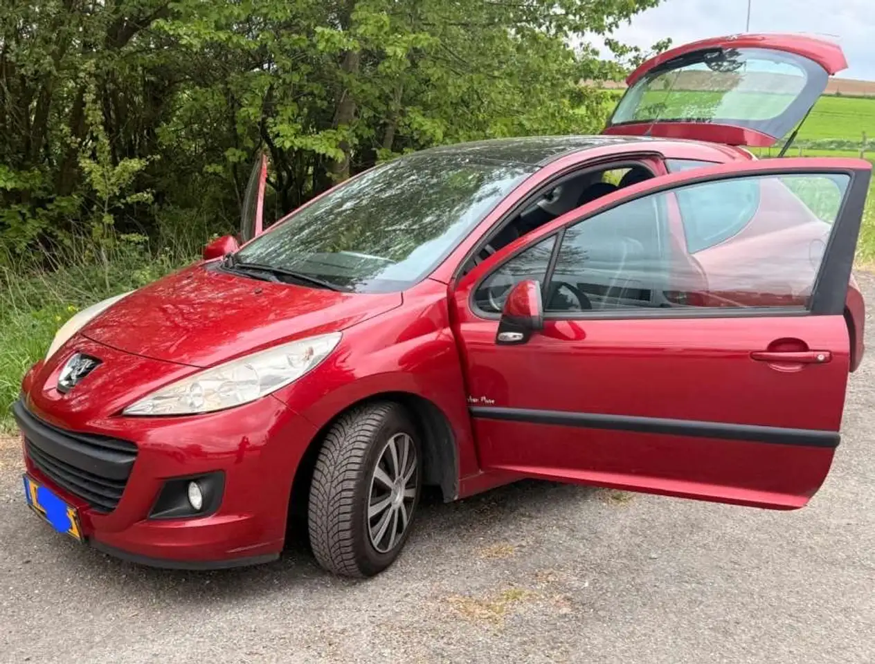 Peugeot 207