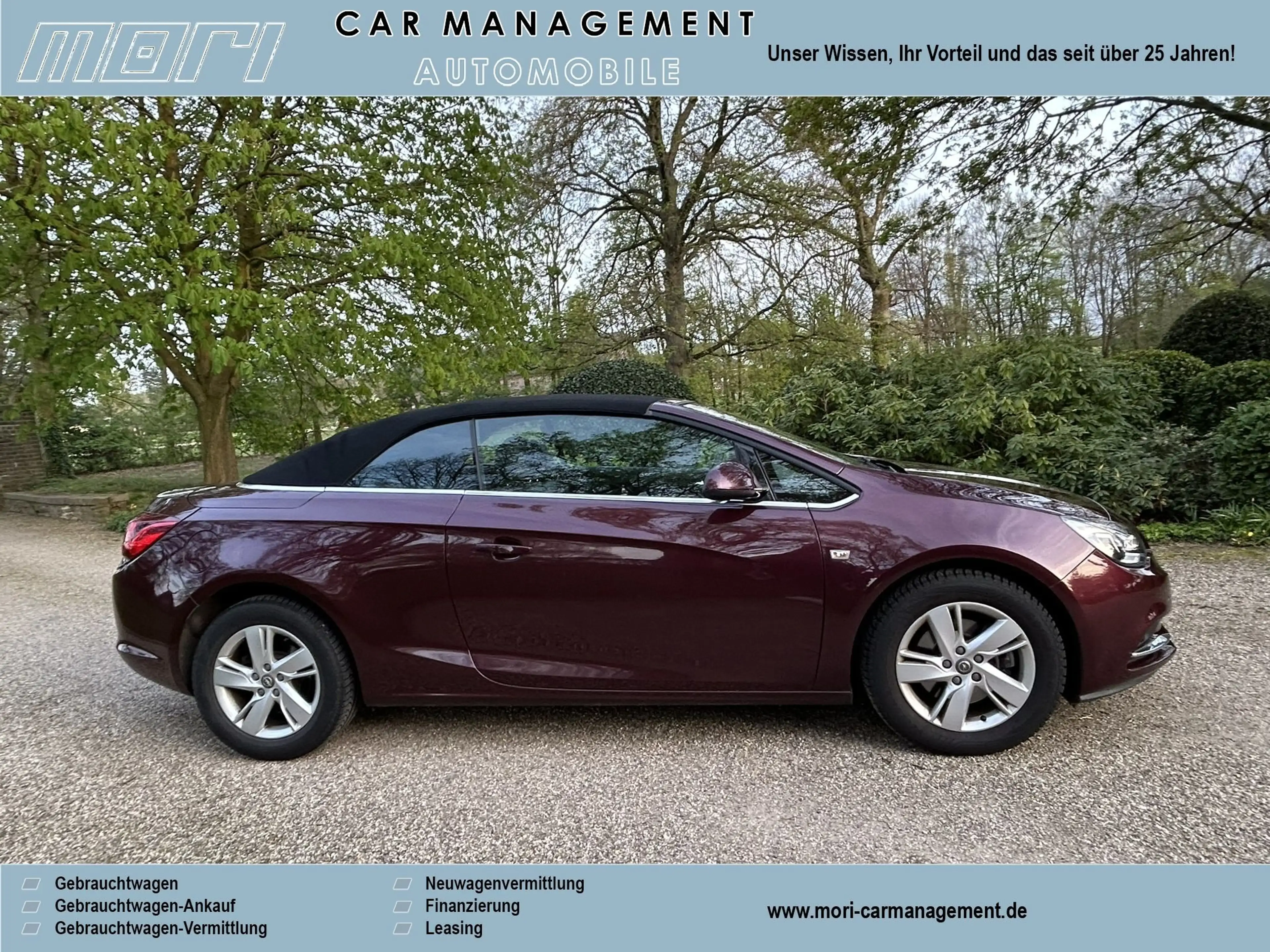 Opel Cascada Edition — photo 10