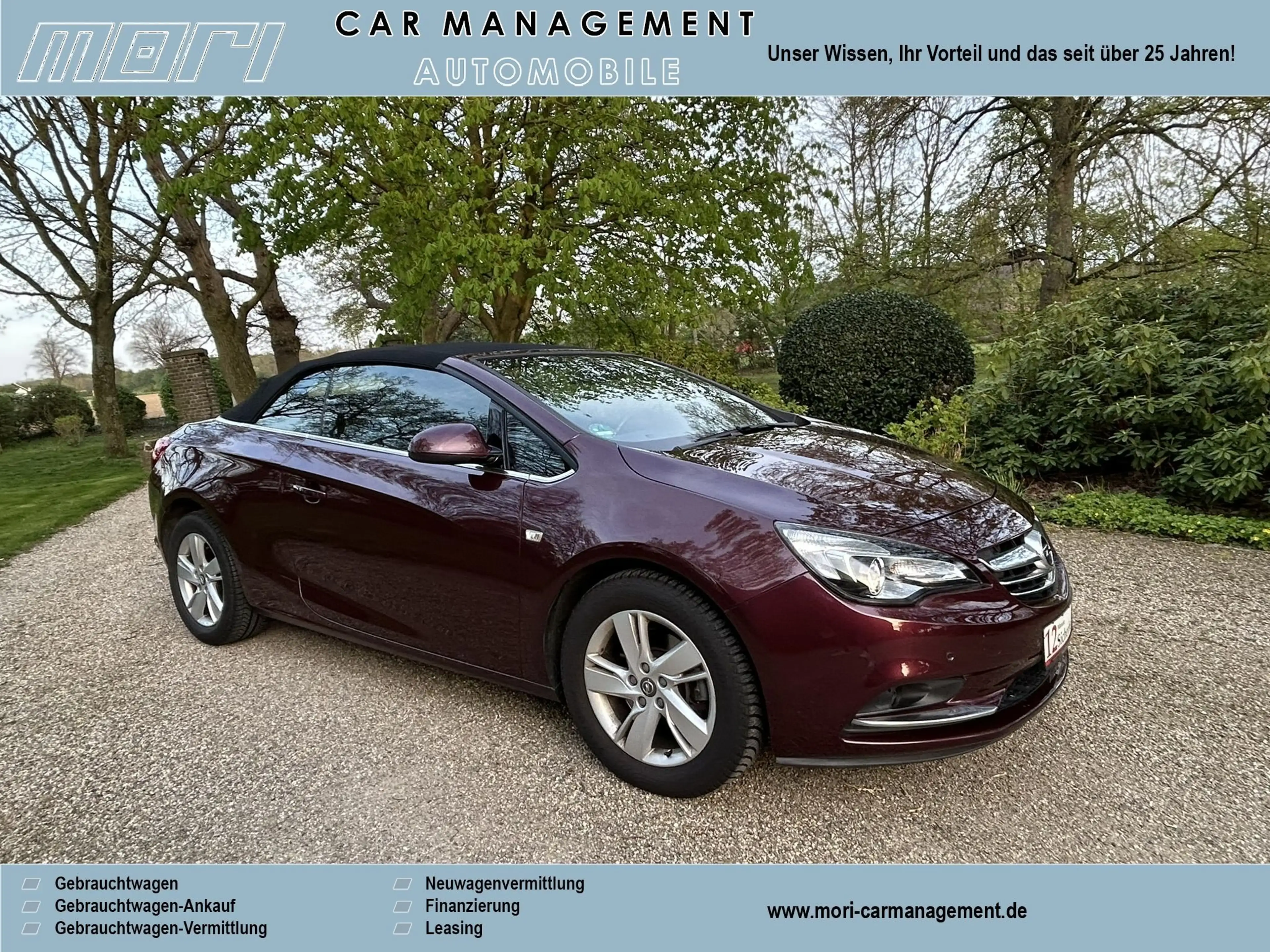 Opel Cascada Edition — photo 8