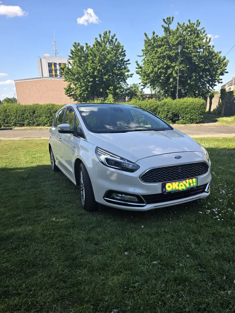 Ford S-Max 2.0 TDCi Vignale (EU6.2) - 1