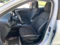 Ford Focus 1.5 EcoBlue 120CV aut 5p. TITANIUM AUTOCARRO N1 - Bianco - thumbnail 24
