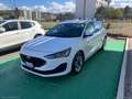 Ford Focus 1.5 EcoBlue 120CV aut 5p. TITANIUM AUTOCARRO N1 - Bianco - thumbnail 3