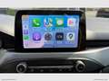Ford Focus 1.5 EcoBlue 120CV aut 5p. TITANIUM AUTOCARRO N1 - Bianco - thumbnail 22