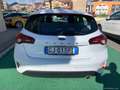 Ford Focus 1.5 EcoBlue 120CV aut 5p. TITANIUM AUTOCARRO N1 - Bianco - thumbnail 5