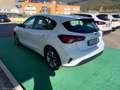 Ford Focus 1.5 EcoBlue 120CV aut 5p. TITANIUM AUTOCARRO N1 - Bianco - thumbnail 4
