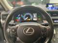 Lexus CT 200h CT200H Woman Edition / Kamera / 8 Fach bereift Blauw - thumbnail 8