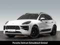 Porsche Macan GTS Luftfederung 21-Zoll Rückfahrkamera Blanc - thumbnail 1