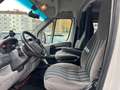 Fiat Ducato Kasten 30 120 Wochmobil-Ausbau Weiß - thumbnail 10