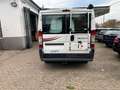 Fiat Ducato Kasten 30 120 Wochmobil-Ausbau Weiß - thumbnail 5