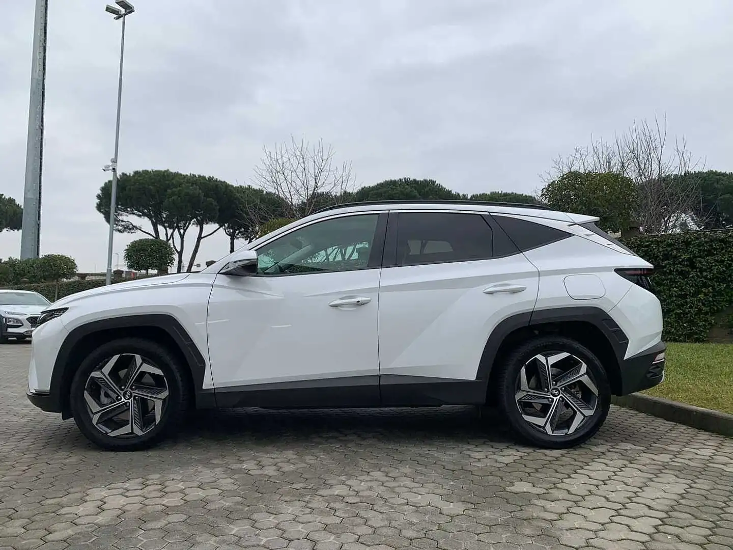 Hyundai TUCSON 3ª serie 1.6 HEV aut. XLine Blanc - 2