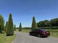 Alfa Romeo Giulia 2.0T 310pk, super netjes!! Veel opties!! Rouge - thumbnail 36