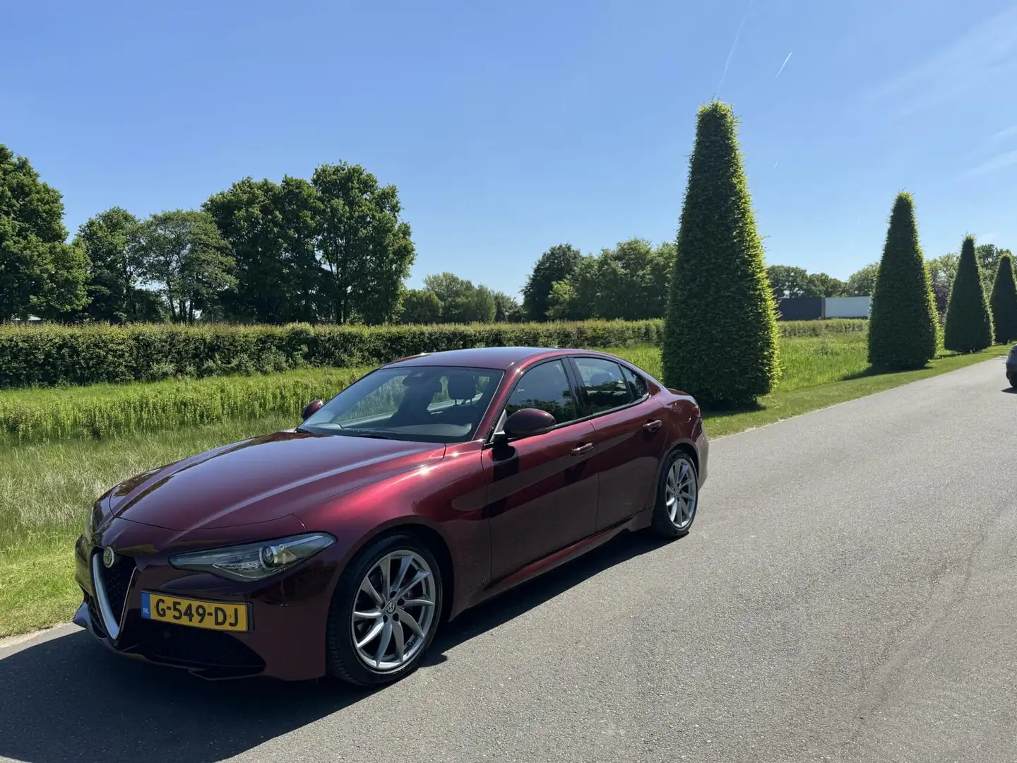 Alfa Romeo Giulia 2.0T 310pk, super netjes!! Veel opties!! Rouge - 2