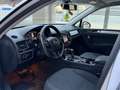 Volkswagen Touareg 3.0 V6 tdi Terrain 245cv tiptronic - thumbnail 5