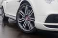 Bentley Continental GTC 4.0 V8 (1e eigenaar, nieuwstaat) Blanc - thumbnail 3
