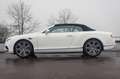 Bentley Continental GTC 4.0 V8 (1e eigenaar, nieuwstaat) Blanc - thumbnail 6