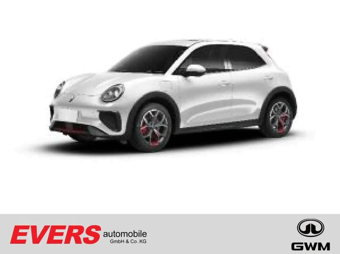 GWM ORA 03 GT 63kWh *Face ID *LED *LM *360° Grau - 1