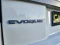 Land Rover Range Rover Evoque 2.0eD4 SE 2WD 150 Weiß - thumbnail 9