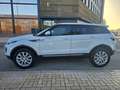 Land Rover Range Rover Evoque 2.0eD4 SE 2WD 150 Weiß - thumbnail 4