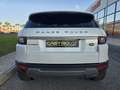 Land Rover Range Rover Evoque 2.0eD4 SE 2WD 150 Weiß - thumbnail 6