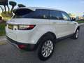 Land Rover Range Rover Evoque 2.0eD4 SE 2WD 150 Weiß - thumbnail 7