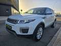 Land Rover Range Rover Evoque 2.0eD4 SE 2WD 150 Weiß - thumbnail 3