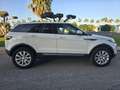 Land Rover Range Rover Evoque 2.0eD4 SE 2WD 150 Weiß - thumbnail 8