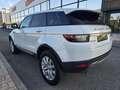 Land Rover Range Rover Evoque 2.0eD4 SE 2WD 150 Weiß - thumbnail 5