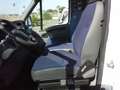 Iveco Daily 35C12 HPI CENTINATO CON PEDANA Sponda idraulica Blanc - thumbnail 9