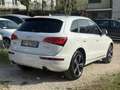 Audi Q5 Q5 3.0 V6 TDI quattro S tronic Advanced Plus White - thumbnail 7