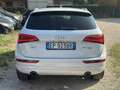 Audi Q5 Q5 3.0 V6 TDI quattro S tronic Advanced Plus White - thumbnail 8